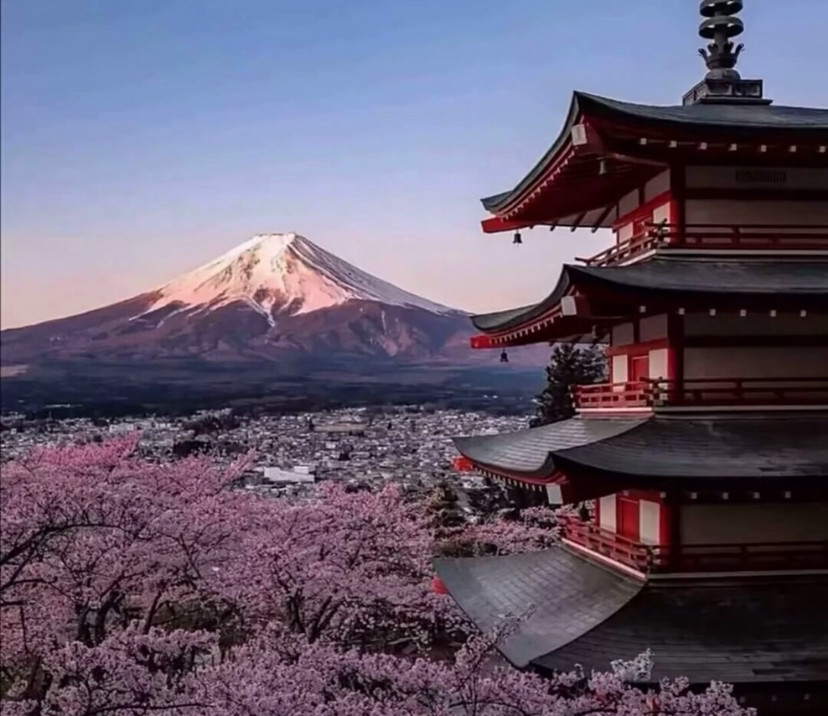 分享一波富士山与樱花的背景图,可以搭配日系头像用,把美景分享给朋友