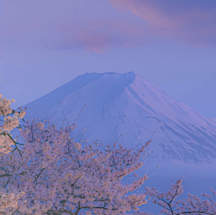 分享一波富士山与樱花的背景图,可以搭配日系头像用,把美景分享给