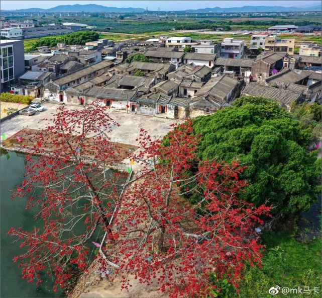 潮汕乡村特色—前榕后竹,留住美丽乡愁!