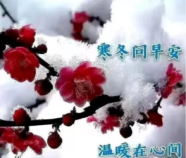 11月19日早上好祝福语简短温馨一句话知心朋友早安问候语