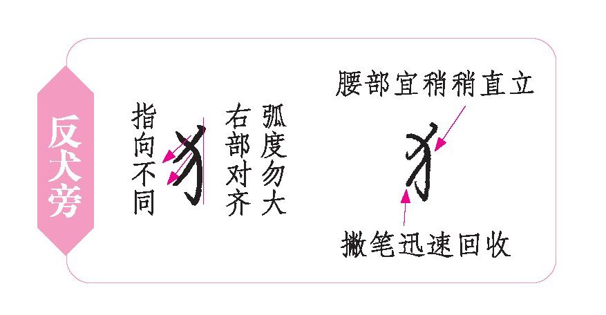 反犬旁写法与楷书基本相同,两撇均不出锋,下撇可使用回锋撇;书写时
