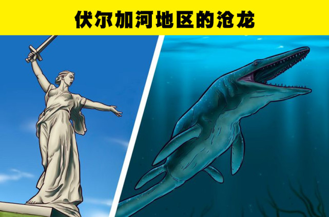 3,伏尔加河地区的沧龙哈卡斯龙的化石是在俄罗斯克拉斯诺亚尔斯克