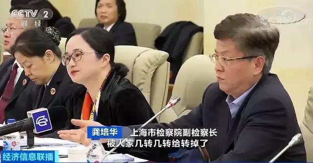 上海市检察院副检察长 龚培华:你交了这个学费,哪知道这个公司被人家