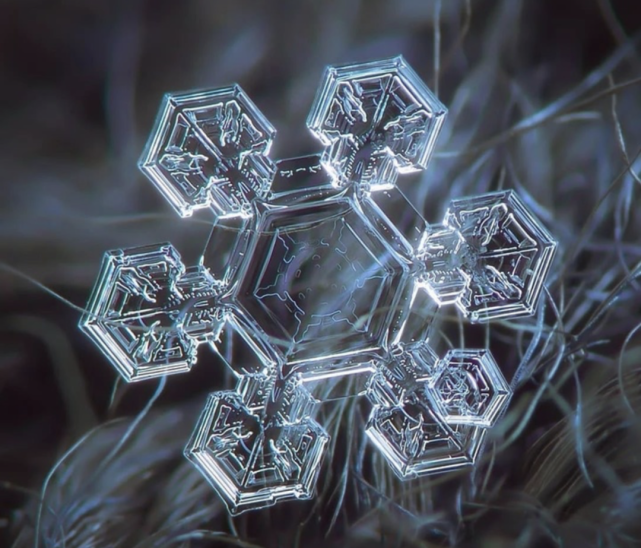 这个世界上有两片一样的雪花吗?