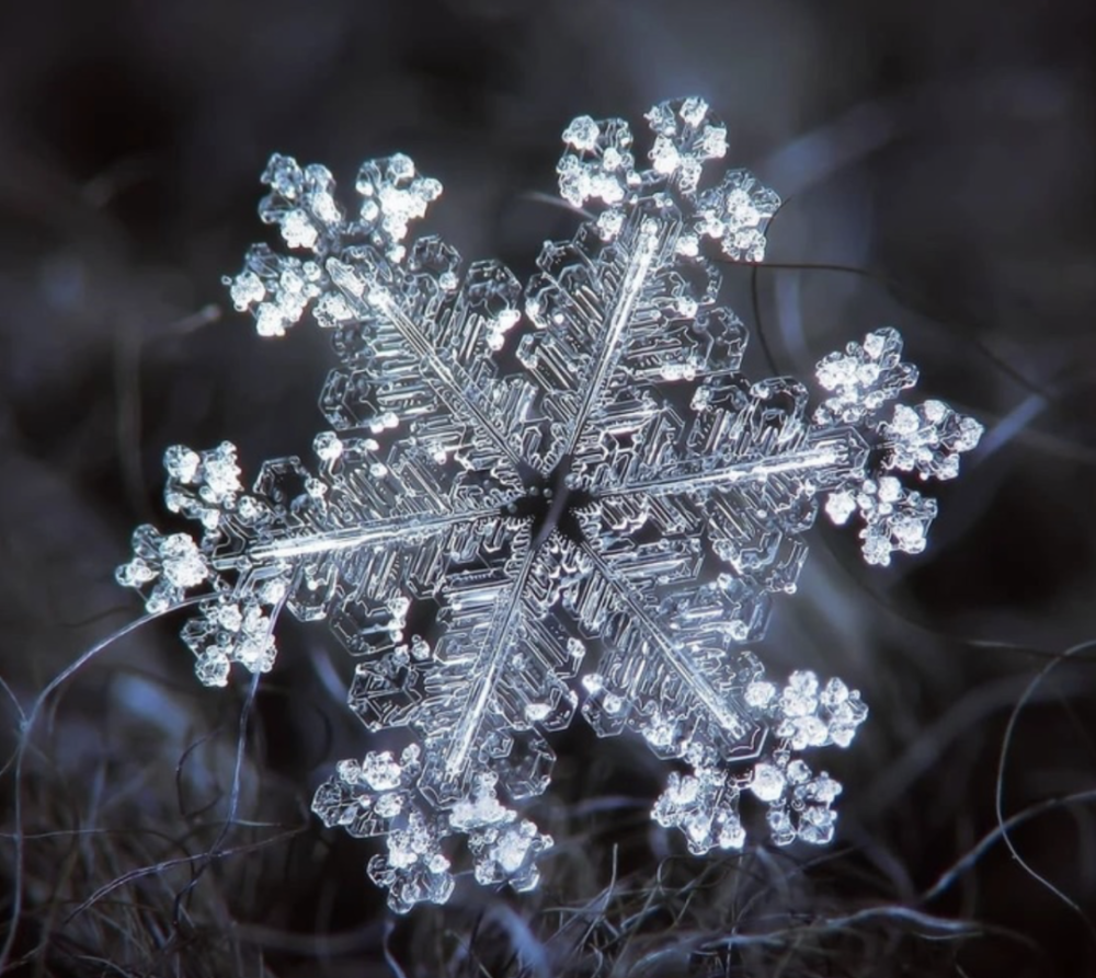 这个世界上有两片一样的雪花吗?