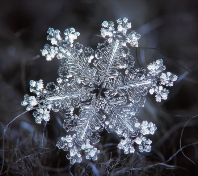 经常看到别人拍摄的雪花微距特写,美丽而梦幻,是不是羡慕不已?