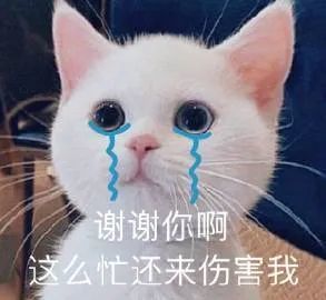 表情包刷剧中别吵吵