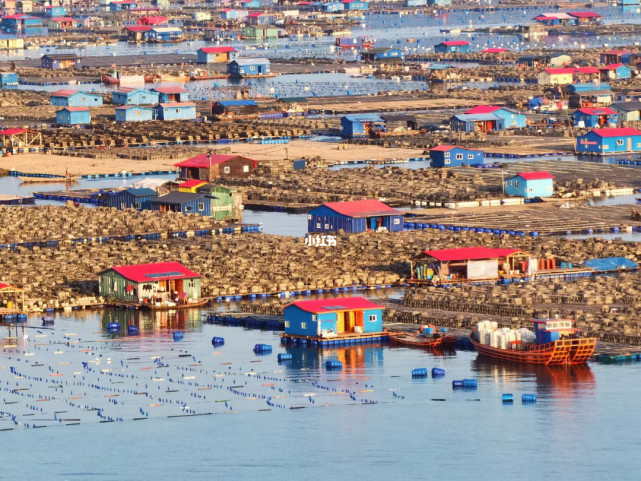 霞浦东安渔排美景(联)