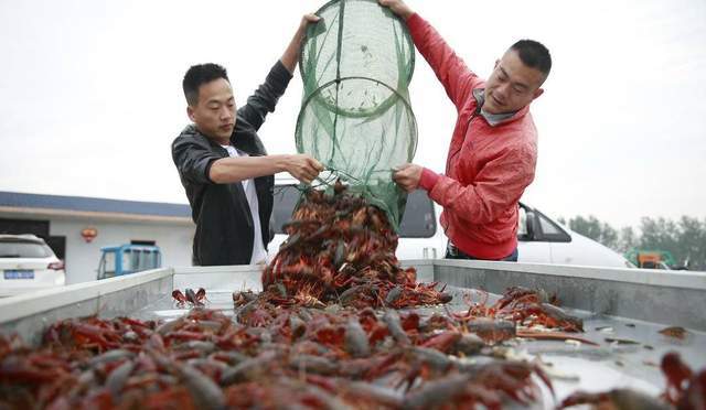 十大小龙虾产地之盱眙县:小龙虾节庆活动的领路者