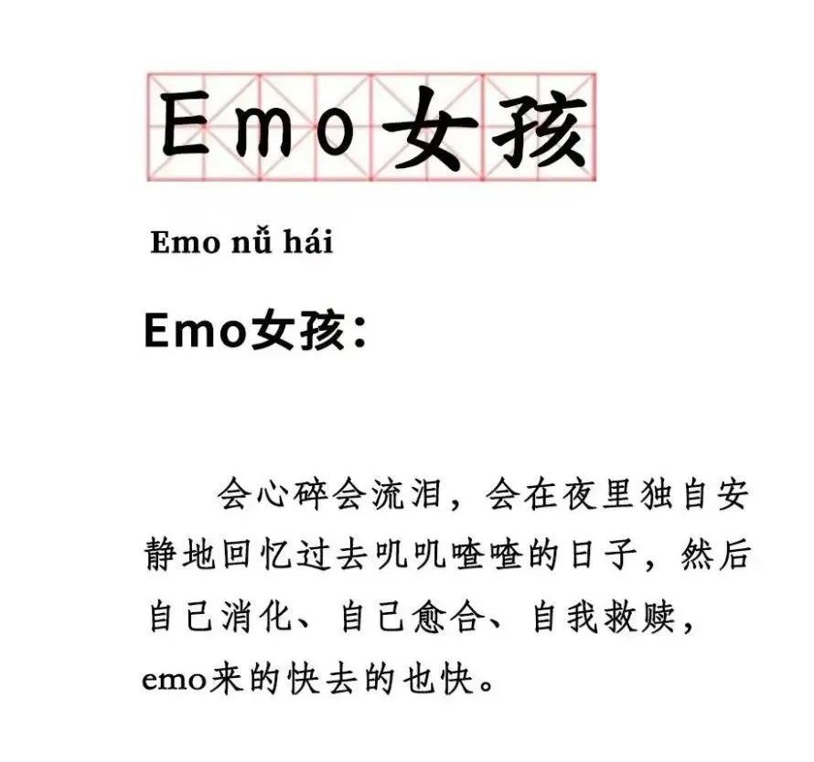 不能怪你 因为,一切都是有原因的 情绪脑和理智脑 emo的全称emotional