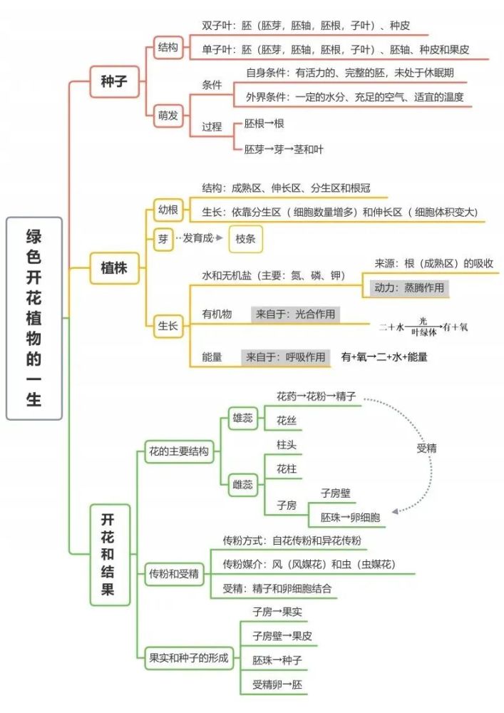 初中生物全册思维导图总结所有必考点一目了然