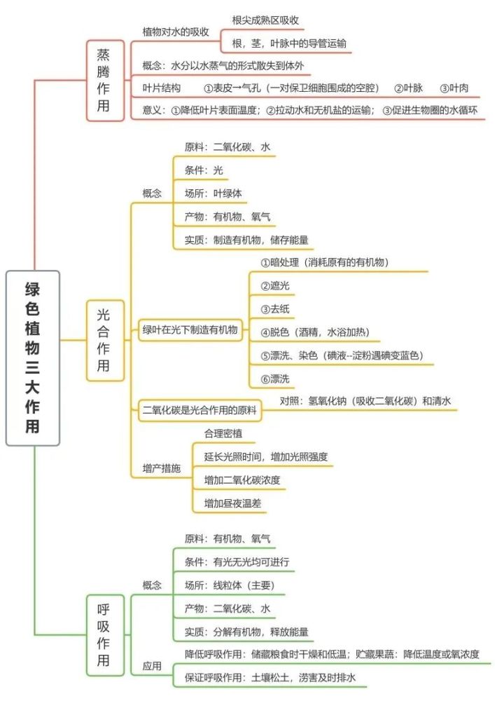 初中生物全册思维导图总结所有必考点一目了然