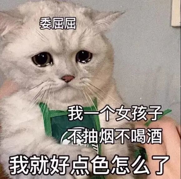 大嘴猫猫咪修狗表情包忙完可以陪陪我吗