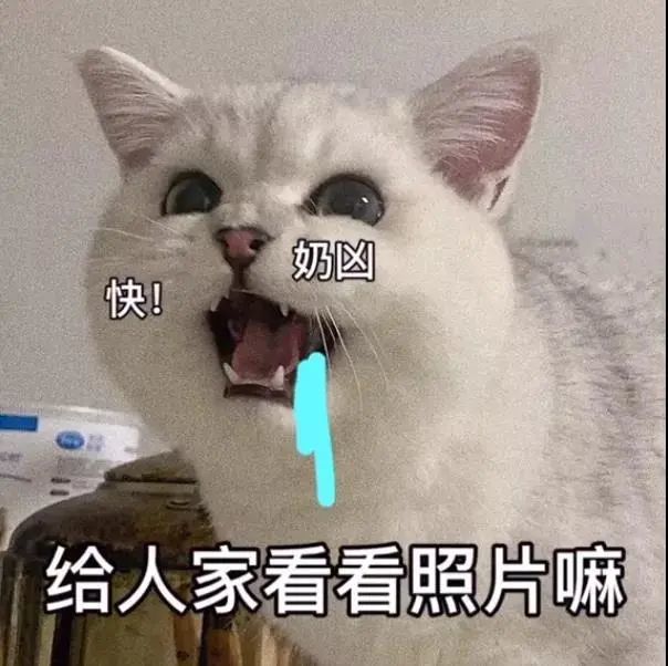 大嘴猫猫咪修狗表情包忙完可以陪陪我吗