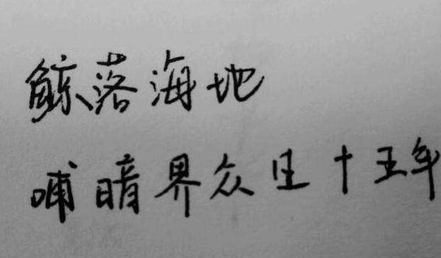 受大学生欢迎的鲸落体字迹隽秀惹人爱奶酪体或已成过去式