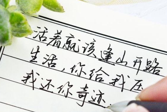 受大学生欢迎的鲸落体字迹隽秀惹人爱奶酪体或已成过去式