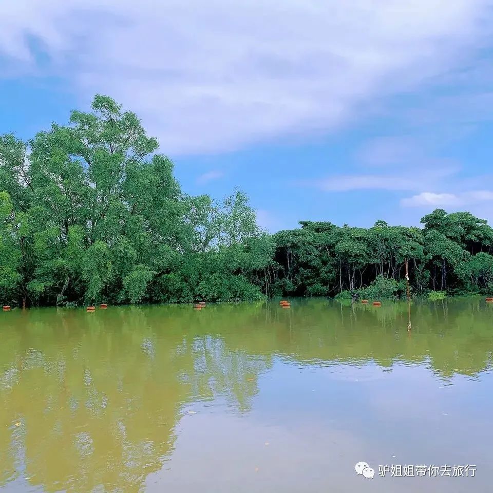 驴姐姐带你游 海口东寨港红树林旅游区