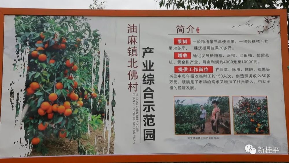 油麻镇北佛村产业综合示范园展牌.