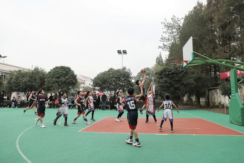 【喜讯】夺冠!天台小学男子篮球队在天台县中小学生篮球联赛中夺冠