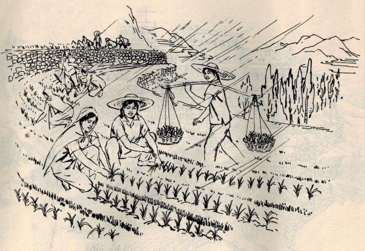 农业学大寨的年代山西昔阳农民创作的速写反映了那个时代