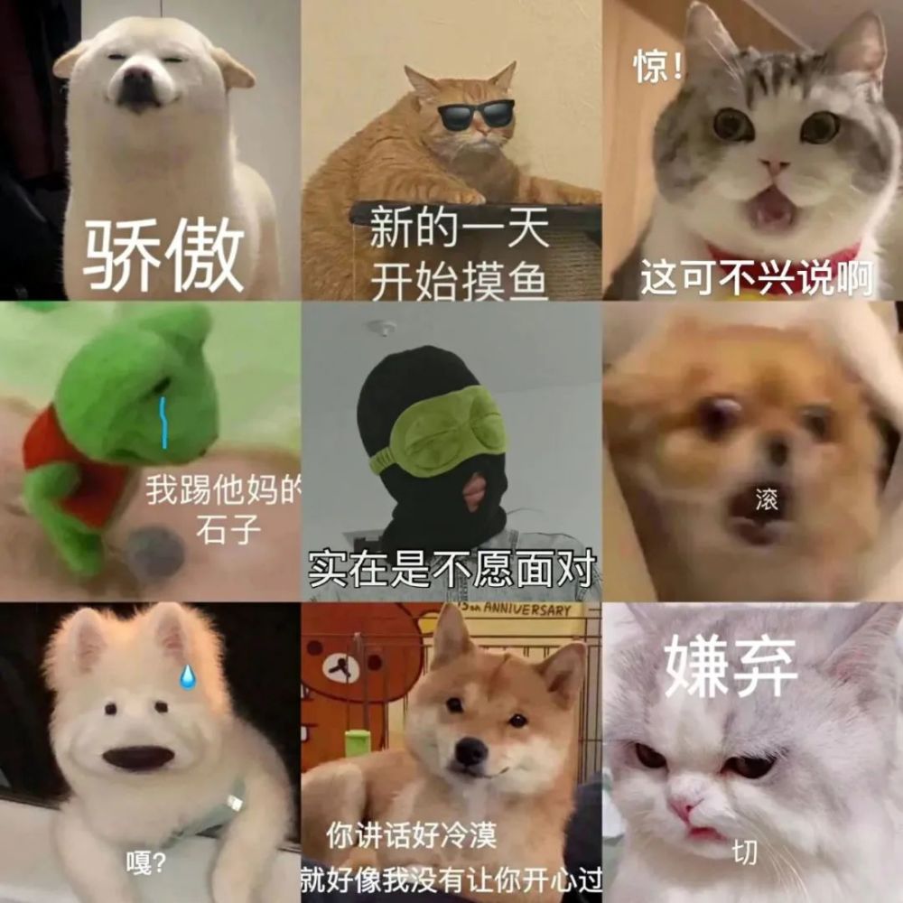 人类幼崽的证件照有多可爱啊啊啊啊快来给我rua一下