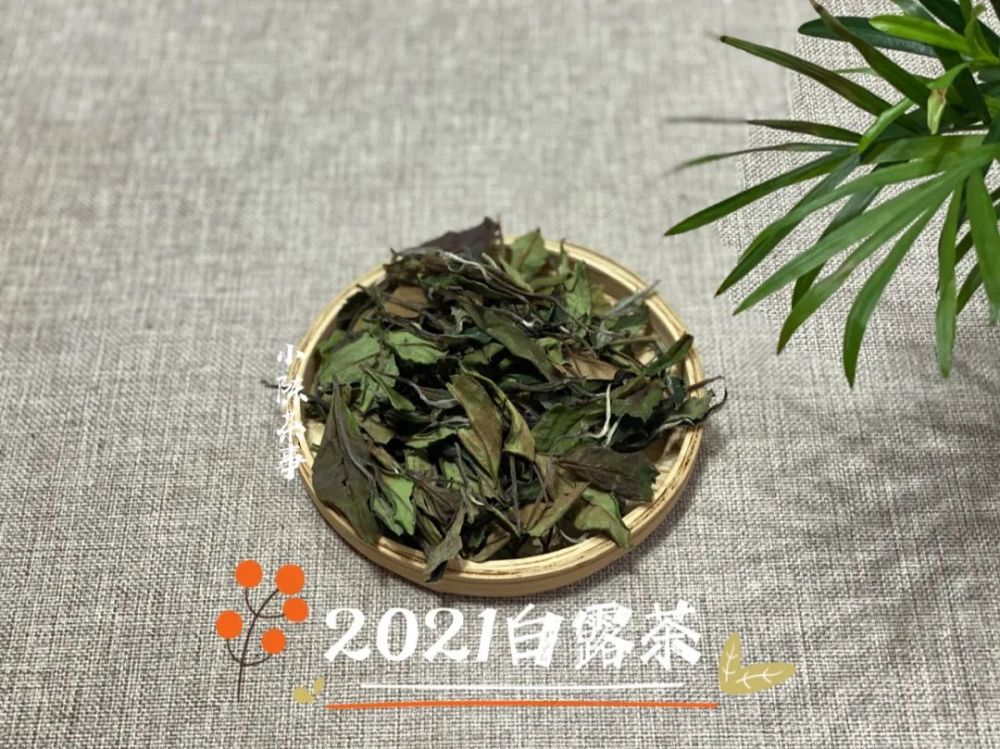 都是秋白茶寒露茶与白露茶如何分辨4个角度带你理清层层迷雾