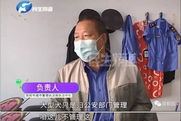 "狗咬老人事件"气哭记者,狗主人保护伞有多大?