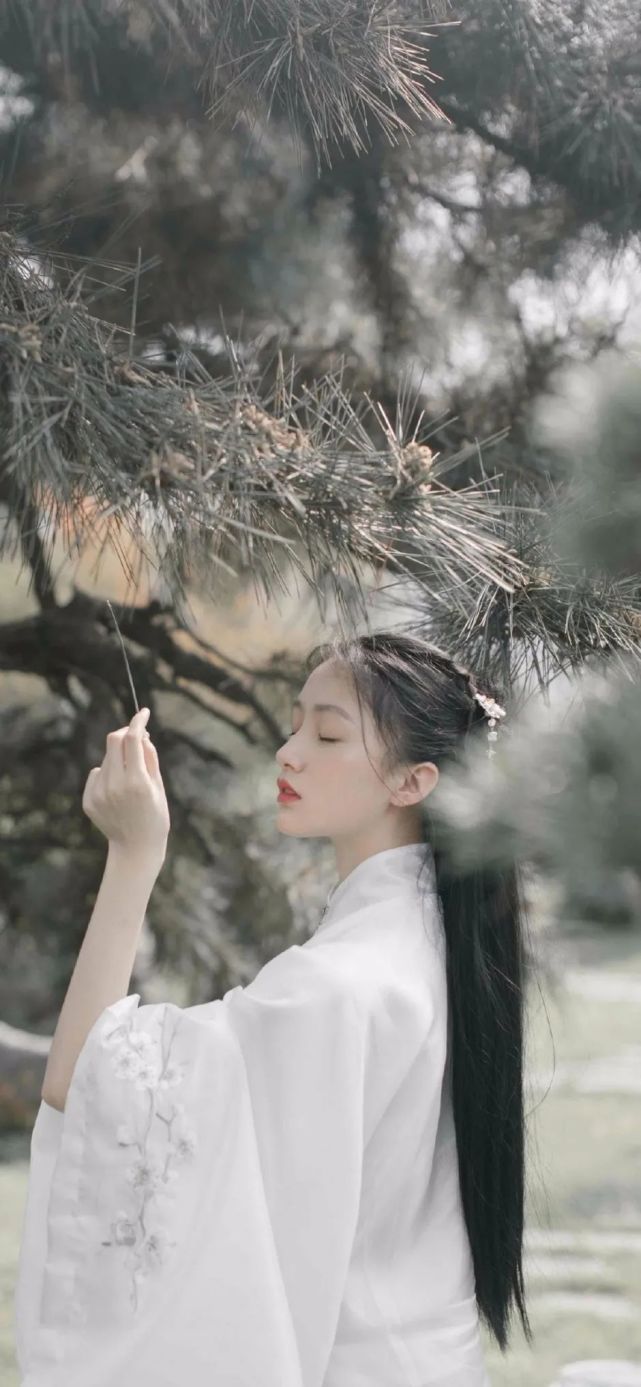 白衣姑娘,古典唯美中国风