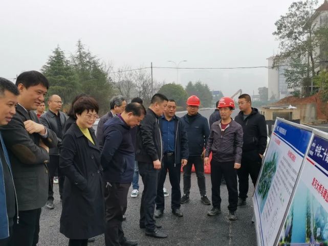 宜春大道项目宋云波一行先后来到宜春大道,武功山大道,教体新区规划二