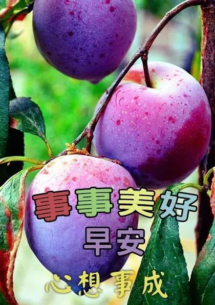 最新版早上好带字的漂亮图片朋友圈早上好温馨问候语大全
