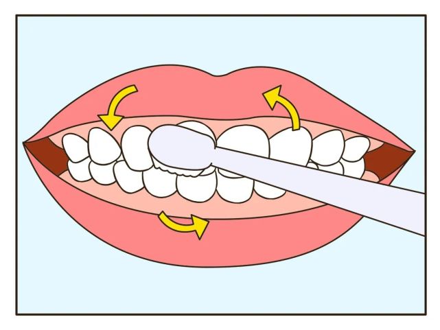 刷头在每颗牙齿上停留 2～3 秒,也可以使用圆弧刷牙法,刷头在牙面上画