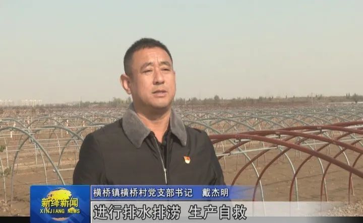 新绛横桥村改旧棚建新棚生产自救耕种忙