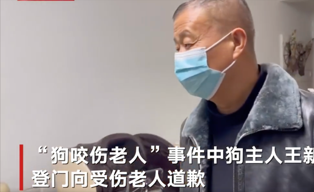 安阳狗伤人事件大结局,王某刚被停职核查2个月究竟发生了什么_腾讯