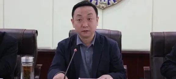 杨俊简历
