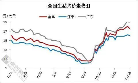 生猪出栏或集中放量到了12月份,猪价或会面临高位下滑的走势