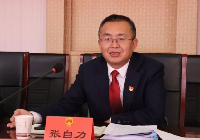 张自力参加青铜峡镇 瞿靖镇 峡口镇代表团分团审议