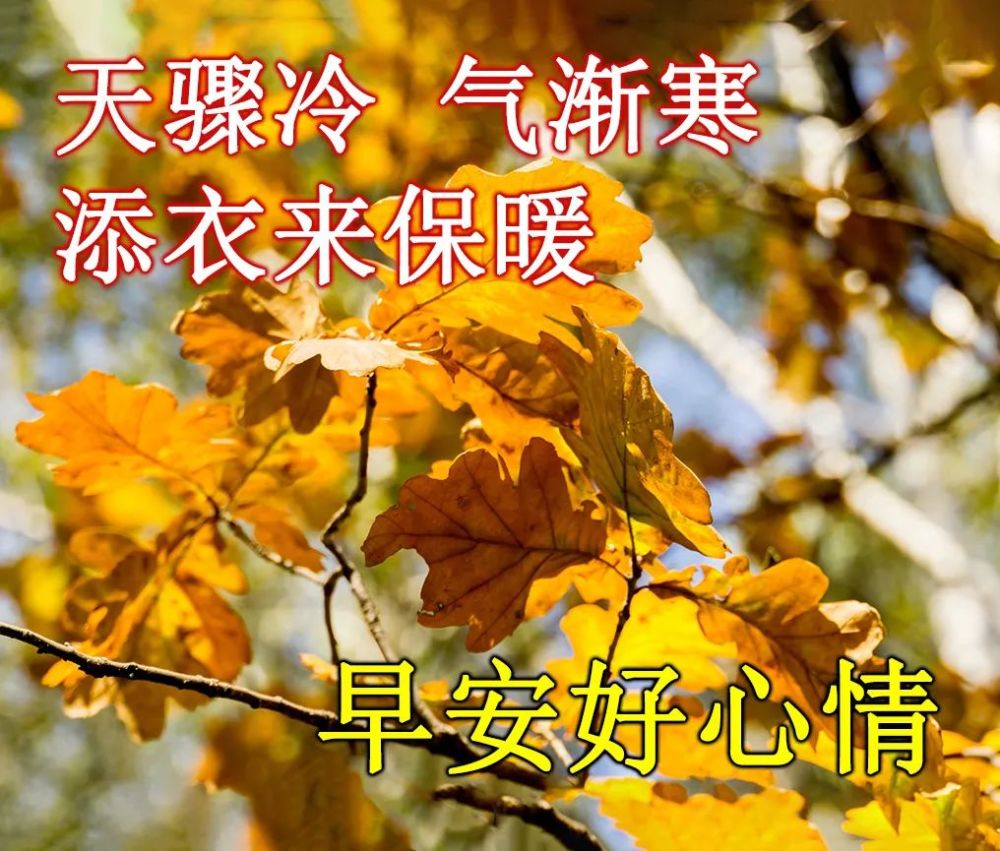21日清晨群发早上好问候祝福语动态图片 早晨好问候动态图片表情带字