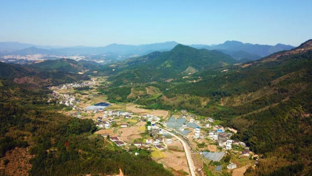 百村支书话振兴漳平瑞都村推进两岸农业合作跑出乡村振兴加速度