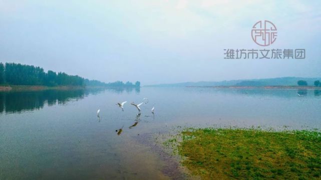 尹锡祥《鹸迎朝阳》徐春家《巨淀湖秋色》姜光辉《峡山潍河湿地》孙璇