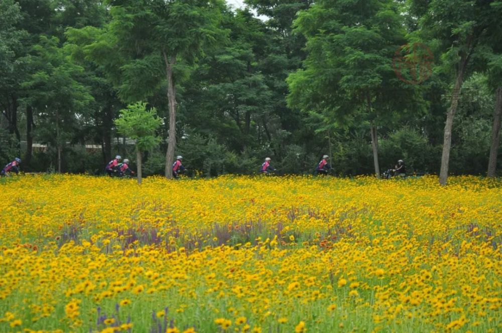 尹锡祥《鹸迎朝阳》徐春家《巨淀湖秋色》姜光辉《峡山潍河湿地》孙璇