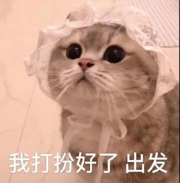 表情包我打扮好了出发