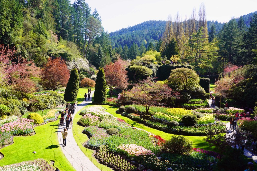 布查特花园,可以带宠物入园