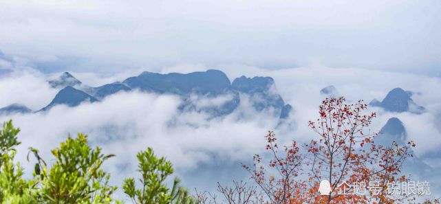 桂林尧山难得一见的红叶云海景观