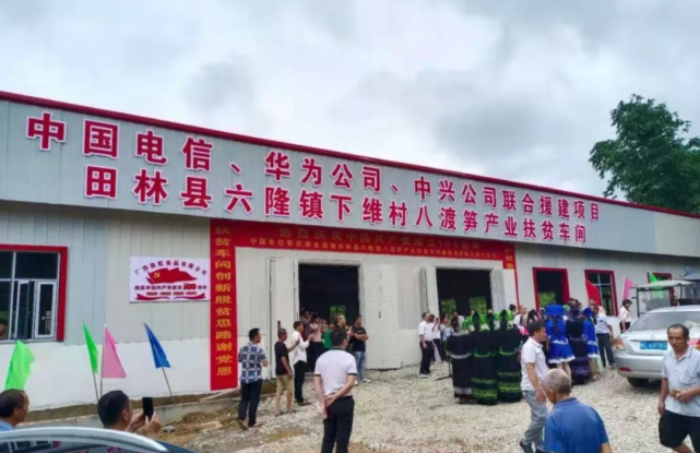 六隆镇下维村八渡笋产业扶贫车间 李玉深 摄来源:田林县六隆镇人民