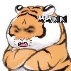 一组搞笑的小老虎表情包