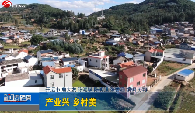 近年来,开远市中和营镇大平寨村委会积极引入1300亩高品质晚熟柑橘