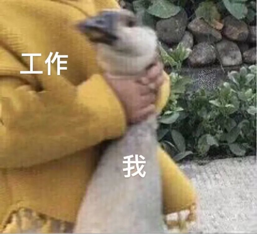 微信沙雕表情包:开始等过年