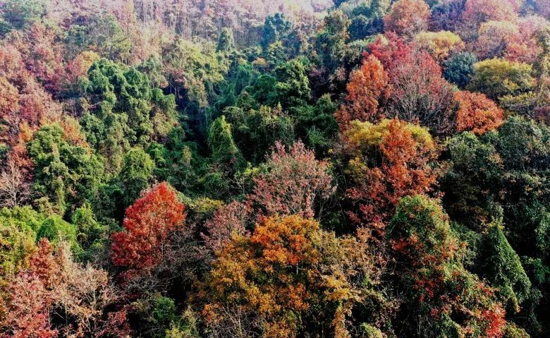 太湖县花亭湖风景区 呈现出 "千重山色,万顷波光" 的宜人美景