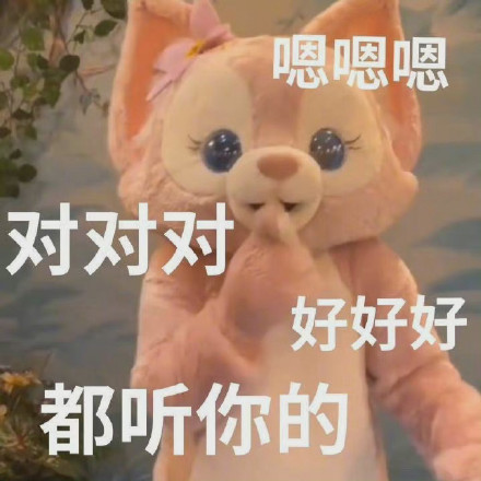 啊对对对,表情包