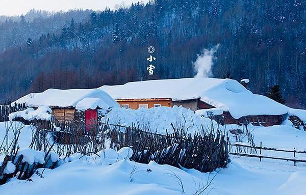 小雪节气至俗语小雪大雪不见雪小麦大麦粒要瘪还准吗